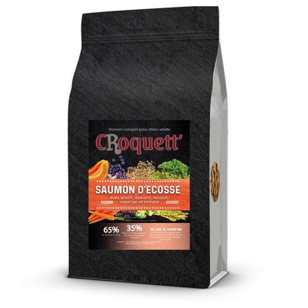 Croquette superfood saumon