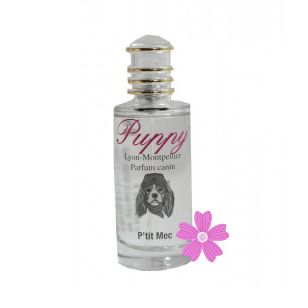 Parfum Pti mec