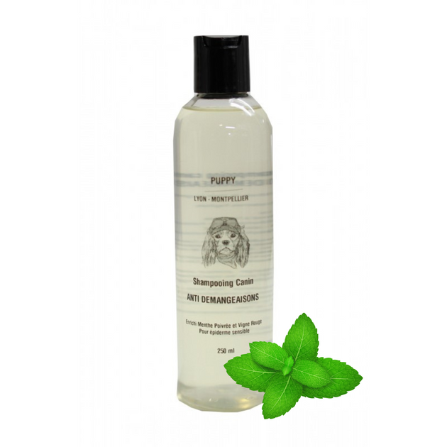 Shampooing anti-démangeaison