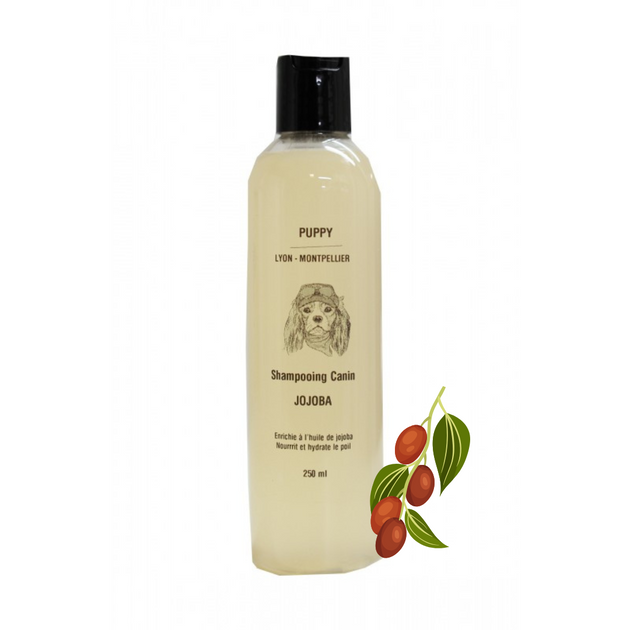 Shampooing Jojoba