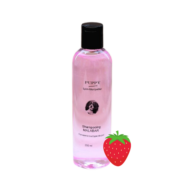 Shampooing Malabar