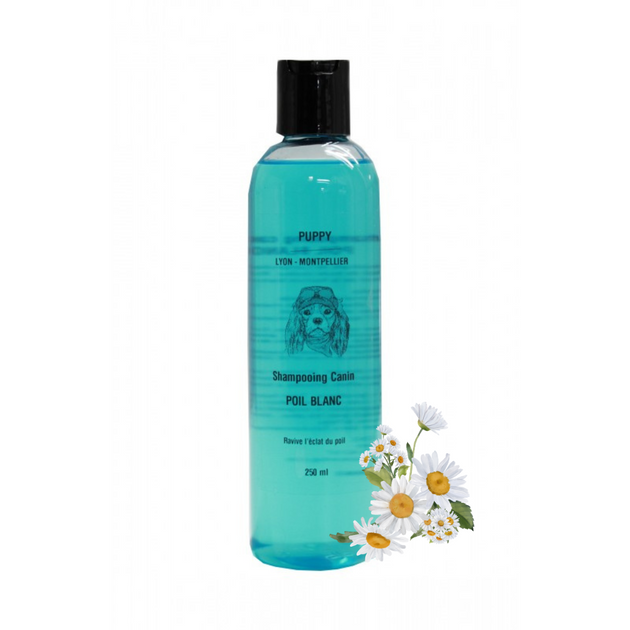 Shampooing poil blanc