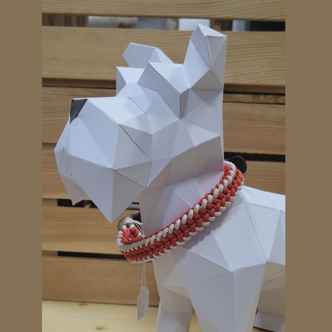 Collier Axel