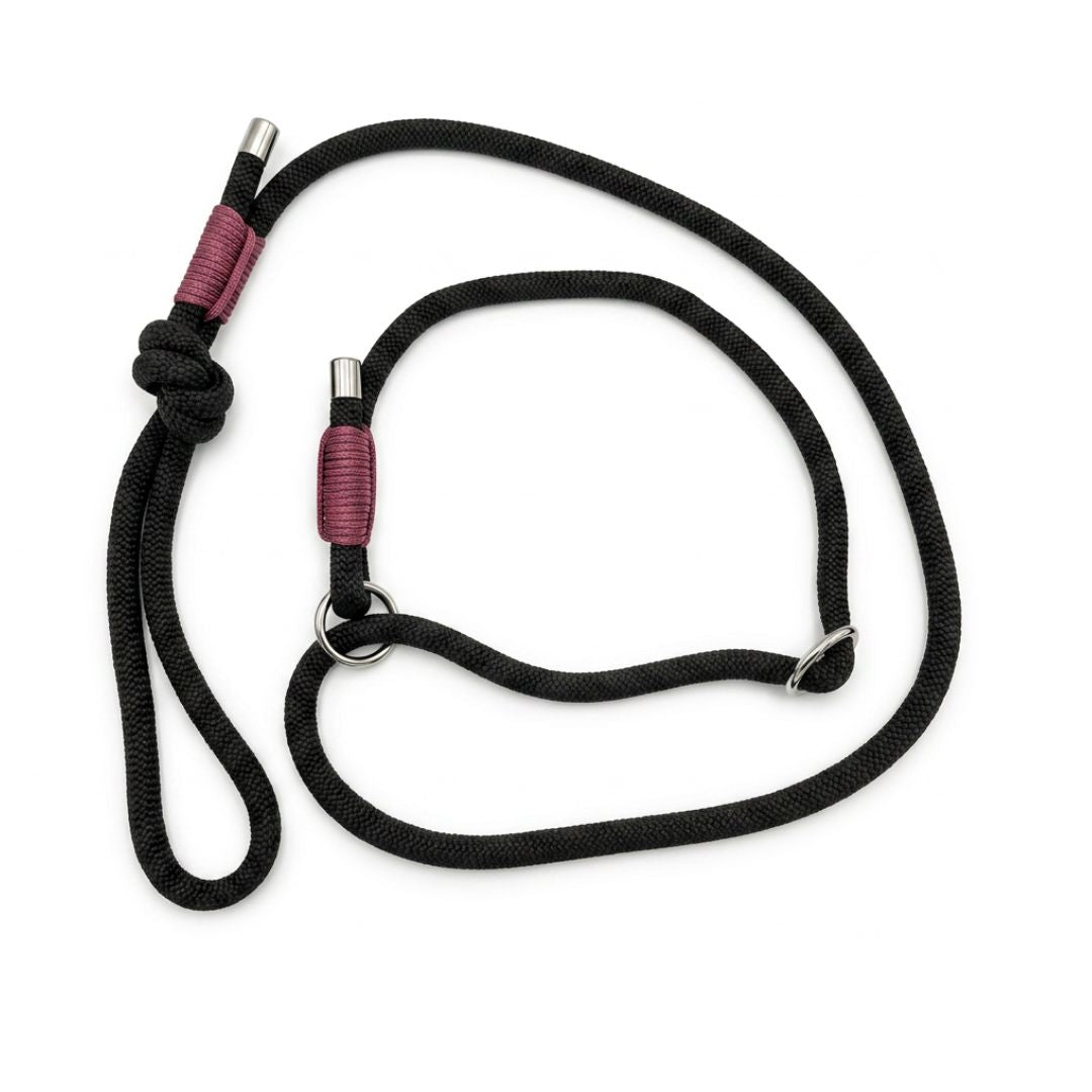Laisse Lasso