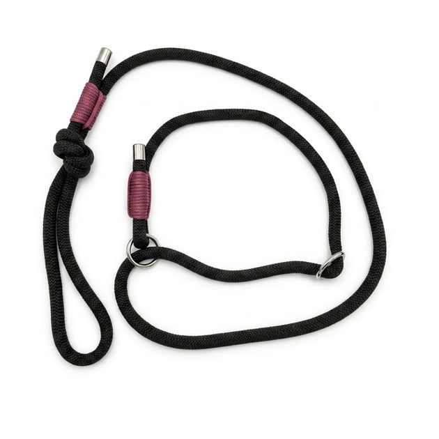 Laisse Lasso