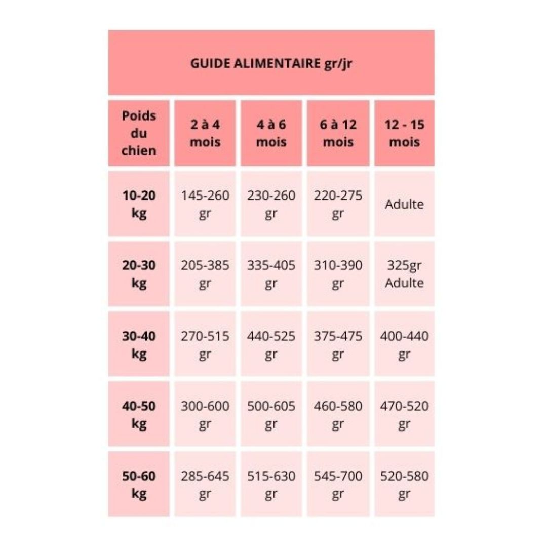 Croquette chiot saumon