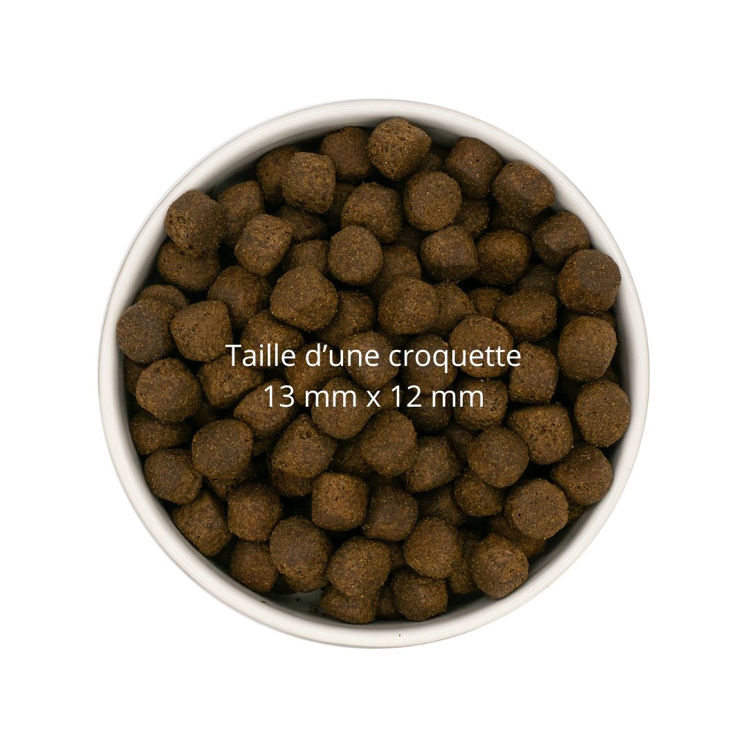 Croquette chiot saumon