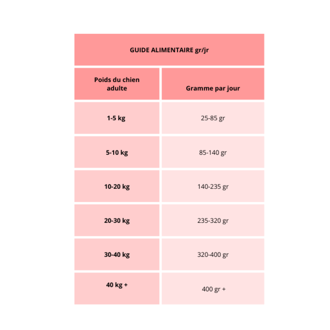 Croquette gastro-intestinale et digestion
