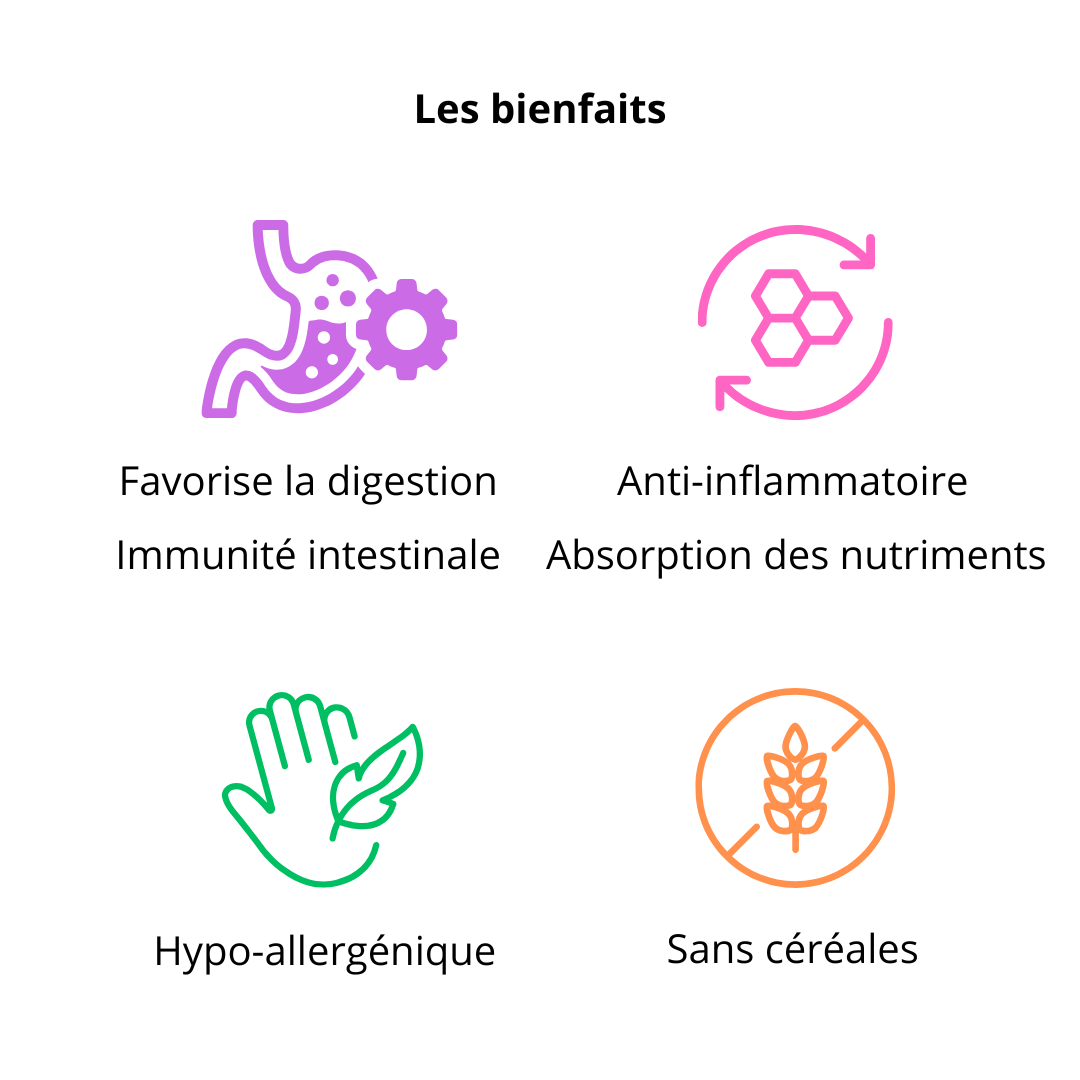 Croquette gastro-intestinale et digestion