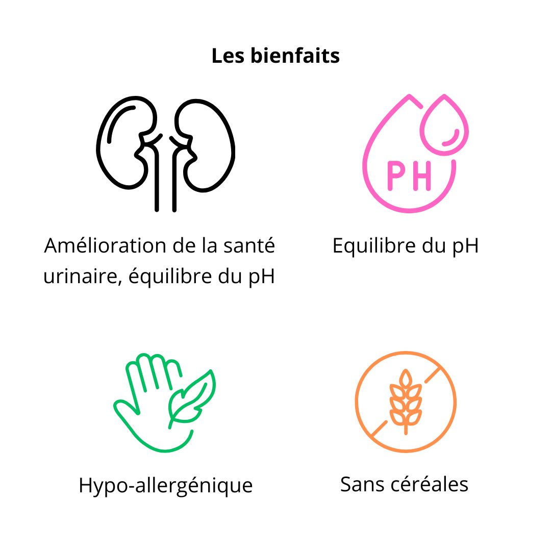 Croquette soin urinaire - stérilisé