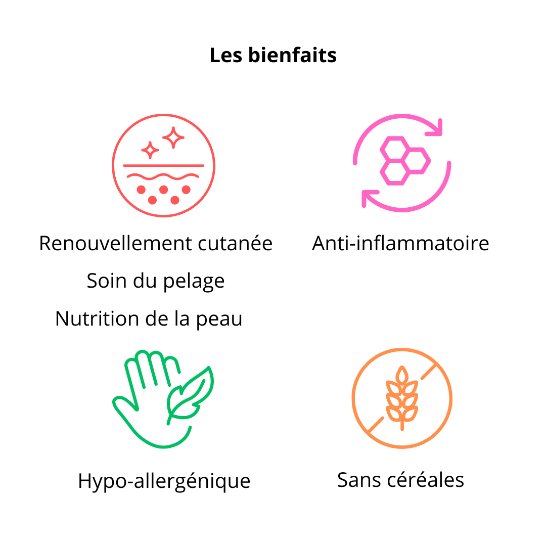 Croquette soins de la peau et du pelage
