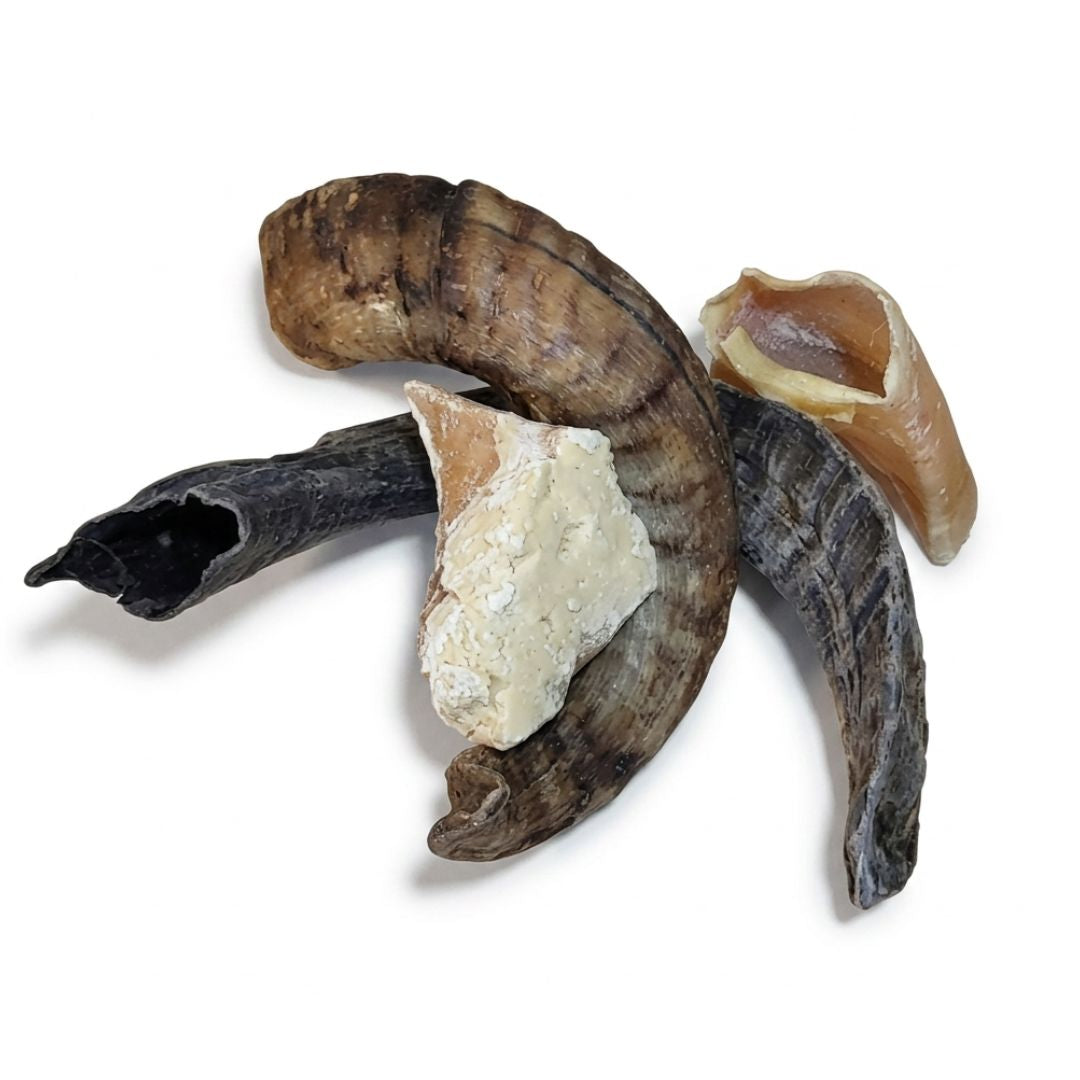 Pack corne et sabot