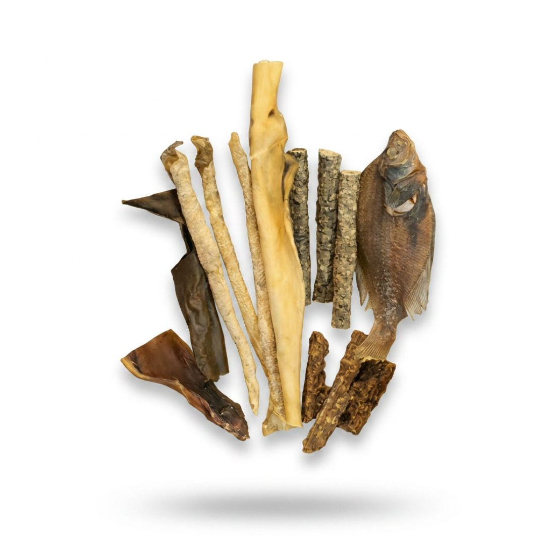 Pack peau et pelage hypoallergénique