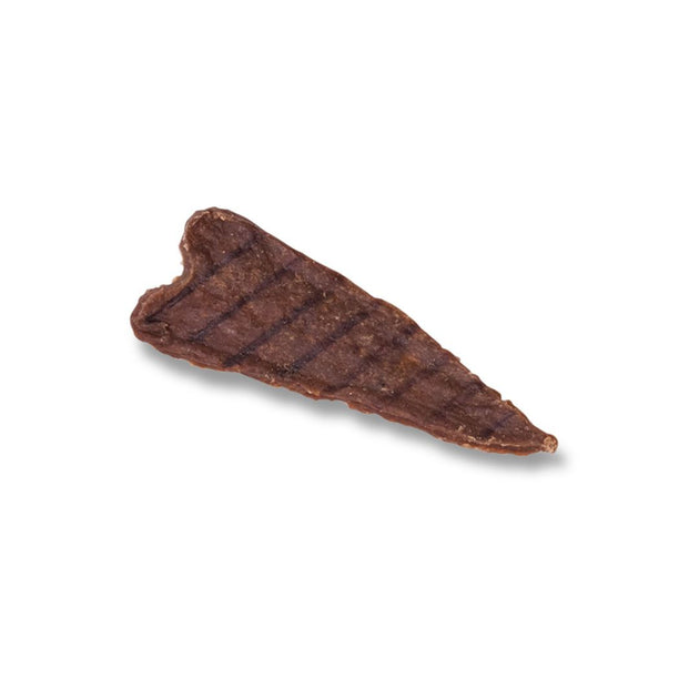 Steack de boeuf grillé