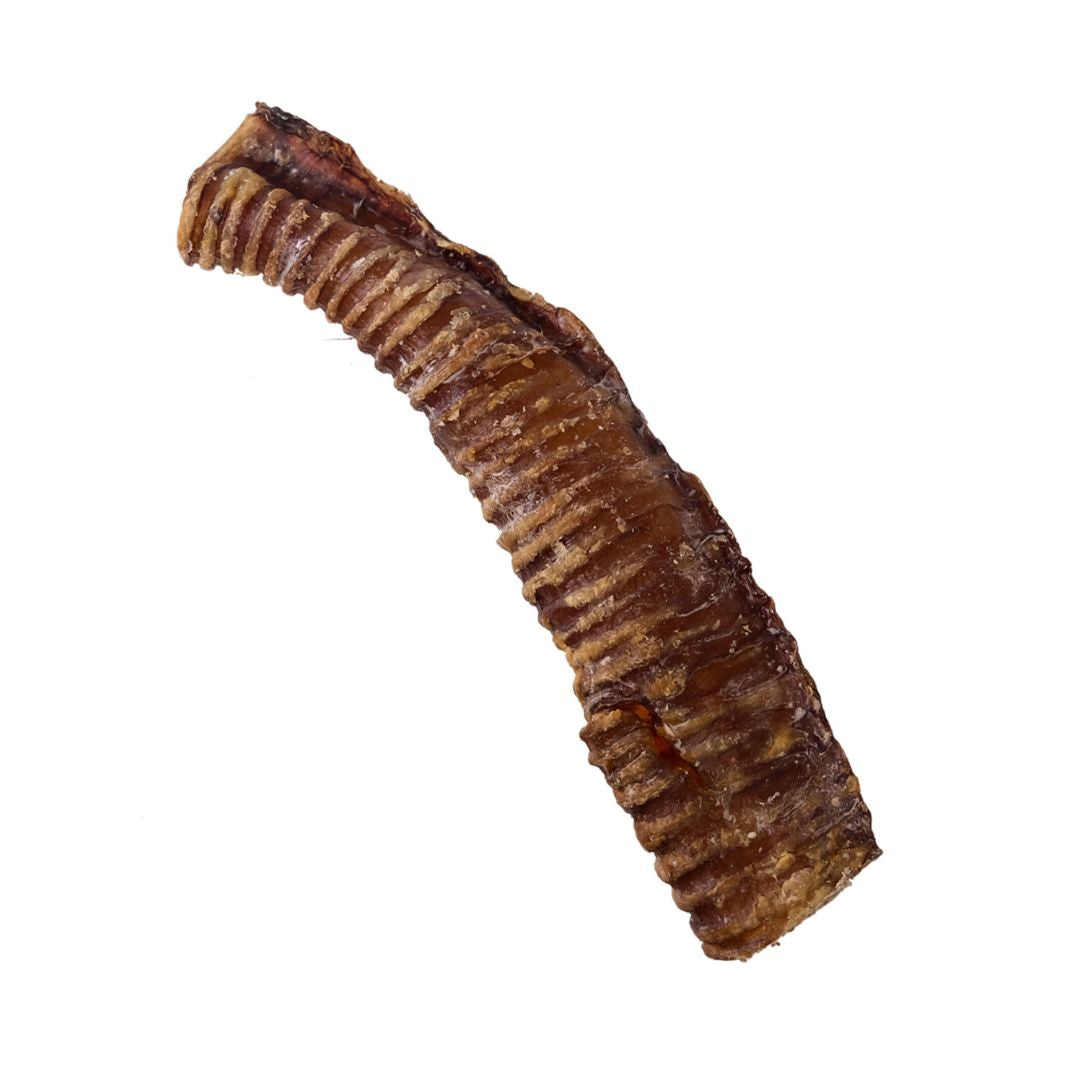 TRACHEE BOEUF 30CM
